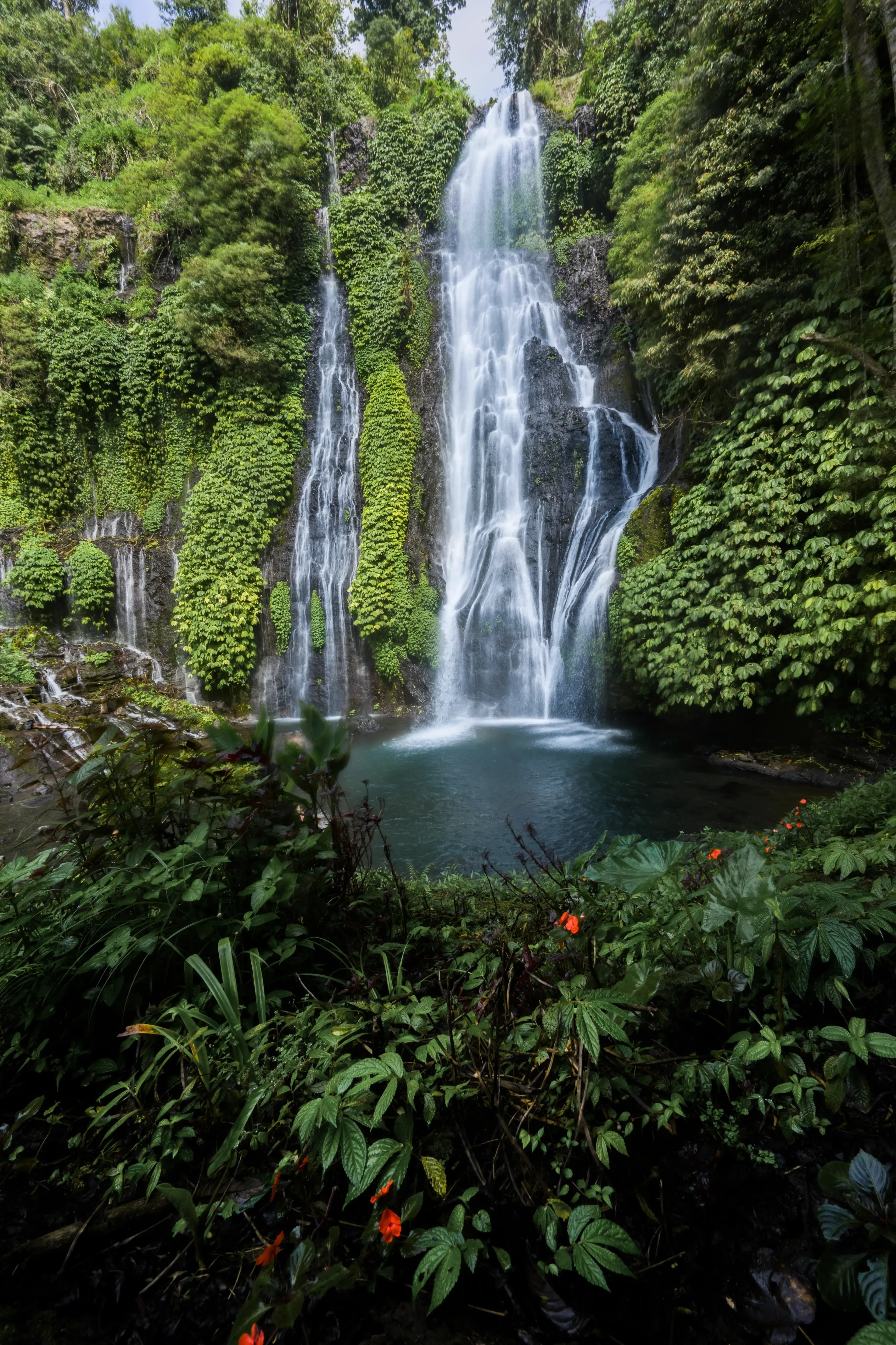 Jungle Trekking