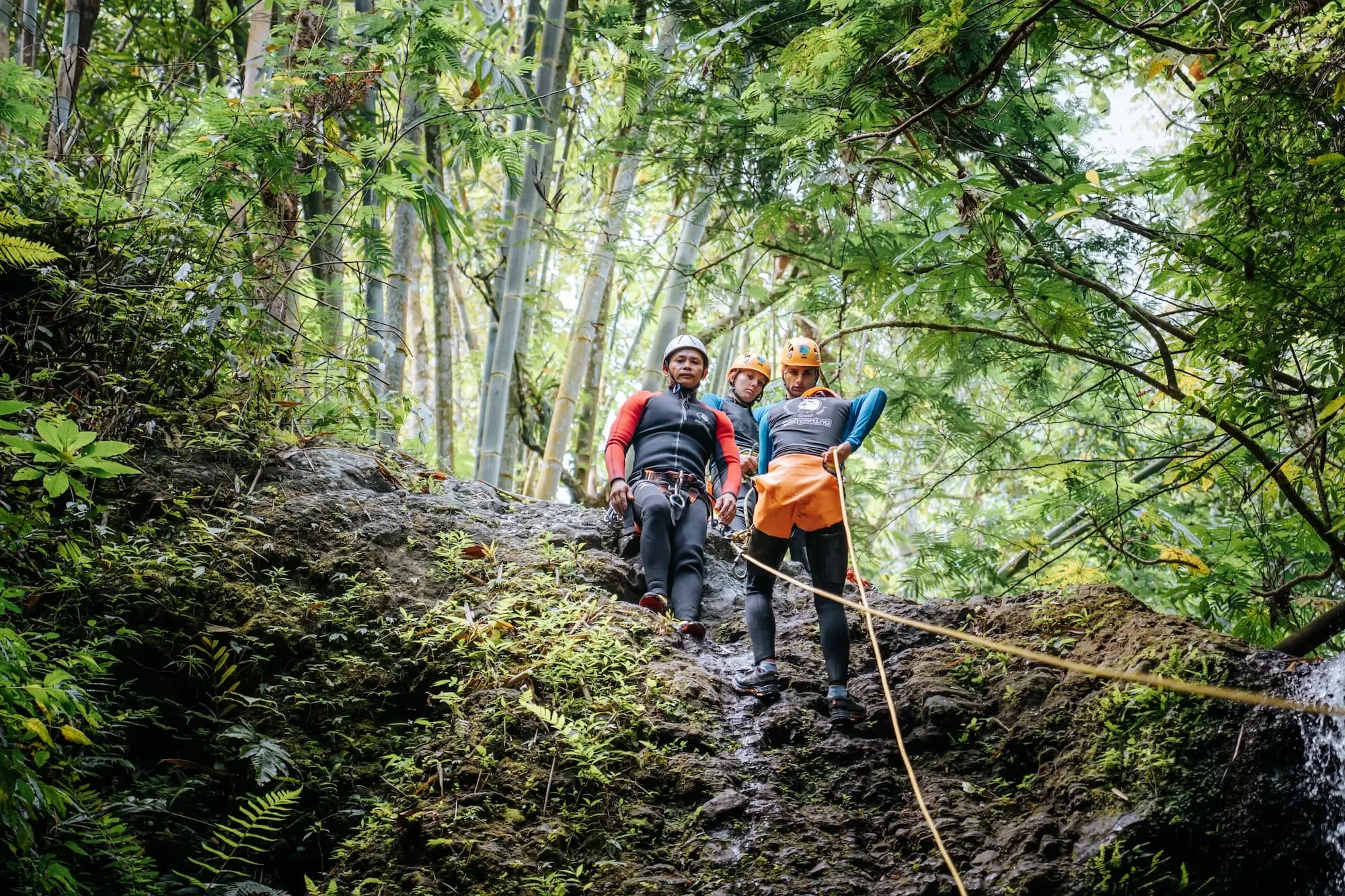 Jungle Trekking